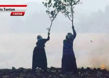 Barış istiyoruz, onurlu ve ekolojik bir barış!