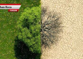 İklim kanunu değil kapitalist yağma kanunu