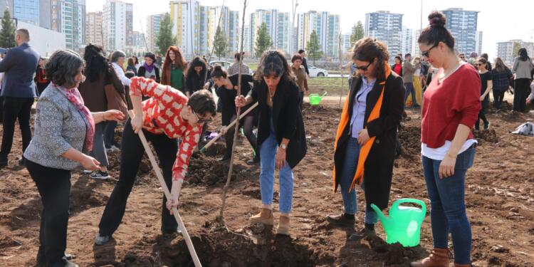 Amed’de ‘Ekolojik Kadın Yaşam Alanı’ açıldı