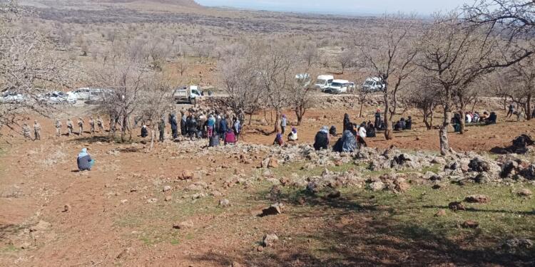 Askerlerden ağaç kesimi protestosuna silahlı müdahale