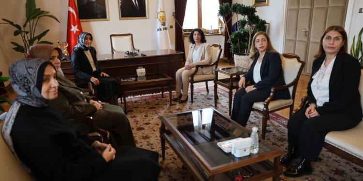 DEM Parti Kadın Meclisi AKP Heyeti ile Meclis’te bir araya geldi