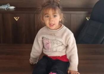 4 yaşındaki kayıp Nazlı Şeşen’i arama çalışmaları sürüyor