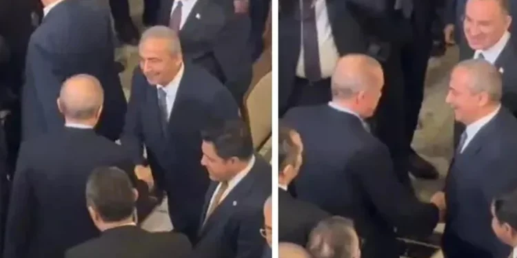 Erdoğan ile Sırrı Süreyya Önder ne konuştu?