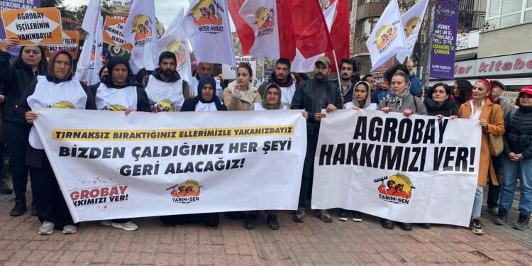 Agrobay işçileriyle gözaltına alınanlara beraat