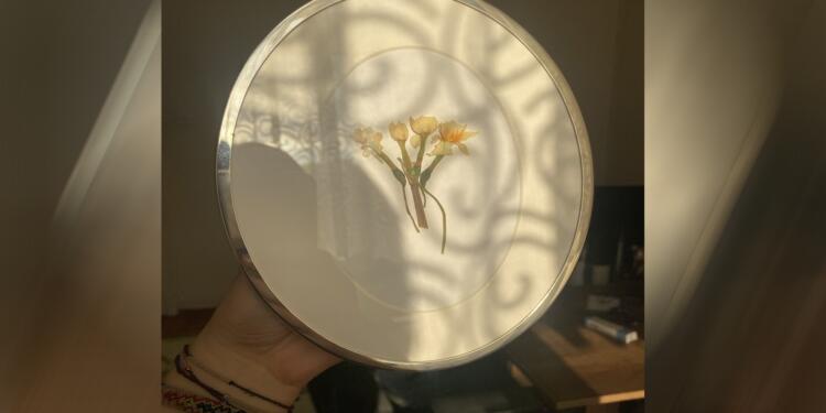 Pervin Buldan İmralı’dan getirdiği dört nergisi JINNEWS’e hediye etti