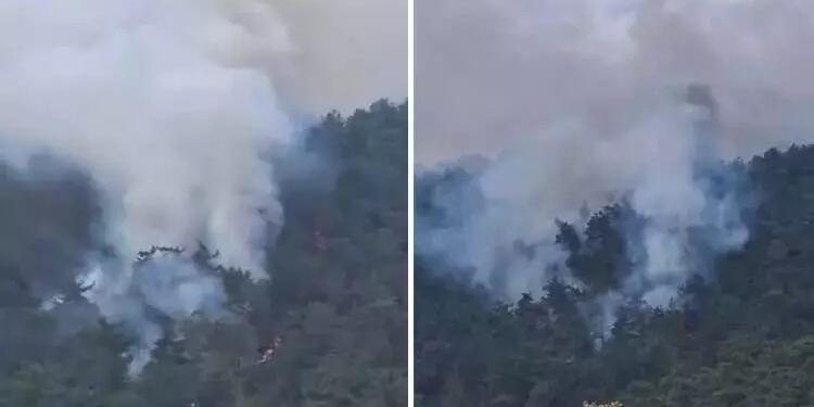 Muğla’da orman yangını