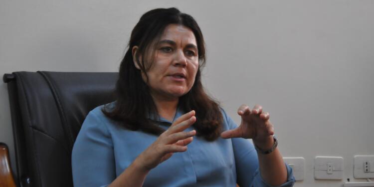 Foza Yusif: Önder Apo tasfiye politikalarının önüne geçmek istiyor