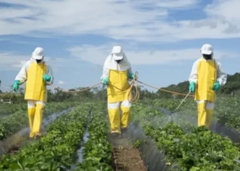 155 ürünün yüzde 61’inde pestisit kalıntısı bulundu