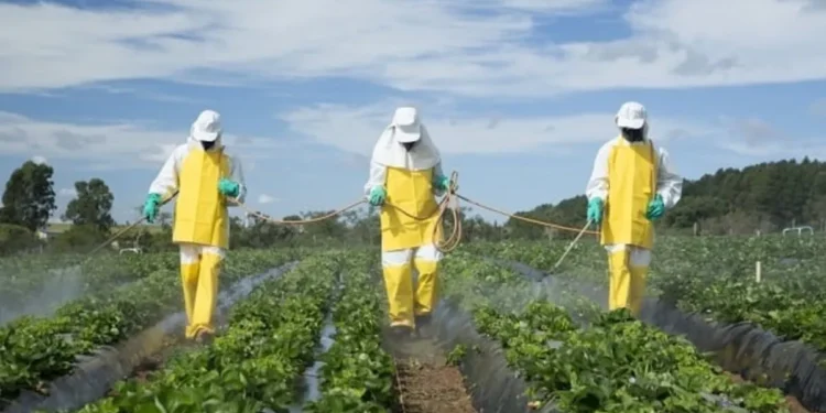 155 ürünün yüzde 61’inde pestisit kalıntısı bulundu