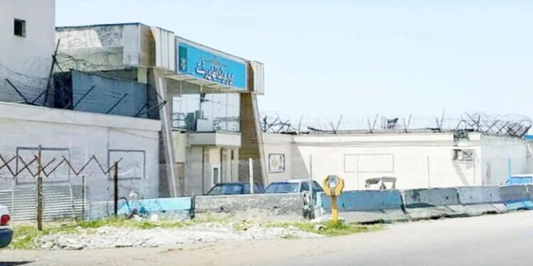 Aktivist Şehnaz Taberi tutuklandı