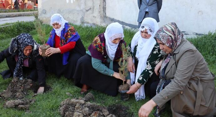 Abdullah Öcalan’ın doğum gününde fidanlar ekildi