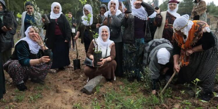 Kadınlar 4 Nisan için fidan dikti: Öcalan’ın özgürlüğünü istiyoruz