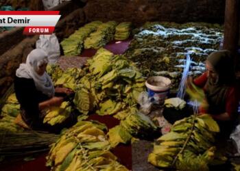 Bitlis’te bir 1 Mayıs sabahı