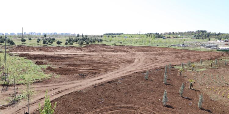 Amed’de tıbbi ve aromatik bahçe