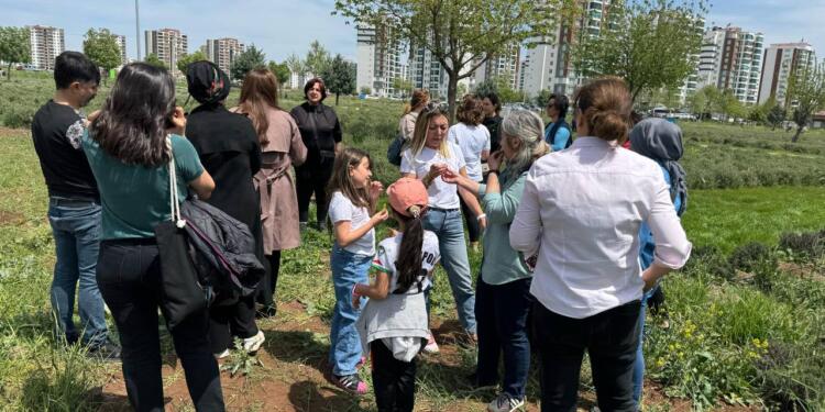 Amed’de fidan dikimi