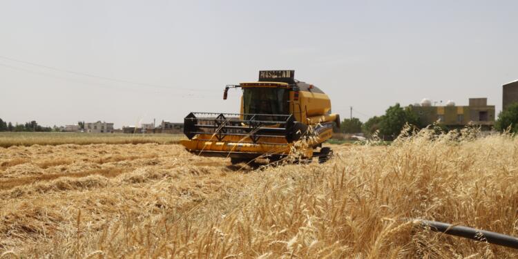 Çiftçileri mağdur eden 2 şirket hakkında soruşturma açıldı