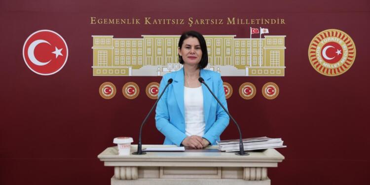 DEM Partili Sayyiğit: Hasta tutsaklar için ivedilikli adım atın