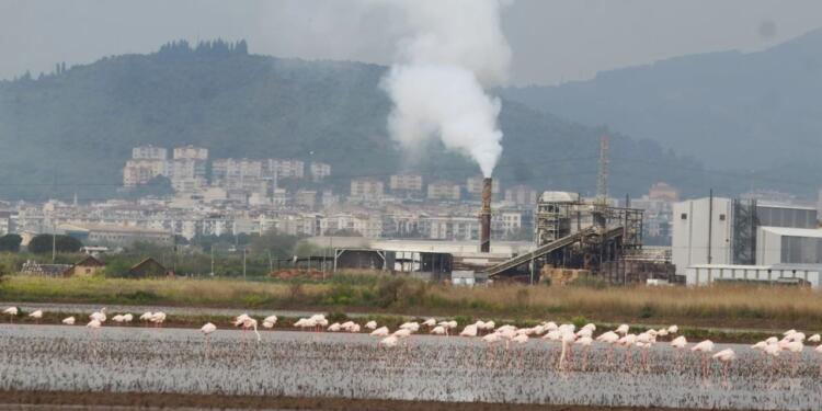 OSB’nin tehdit ettiği Söke Ovası için çağrı