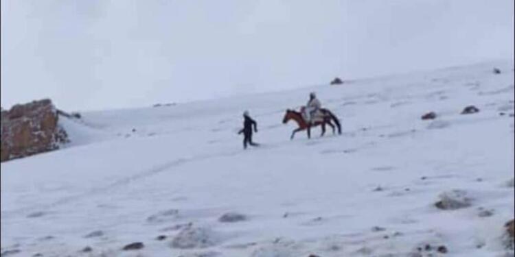 Sınırda bir kolber kayboldu