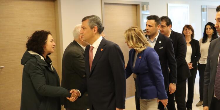 Gazeteci ve siyasetçilerden Sırrı Süreyya Önder’e ziyaret