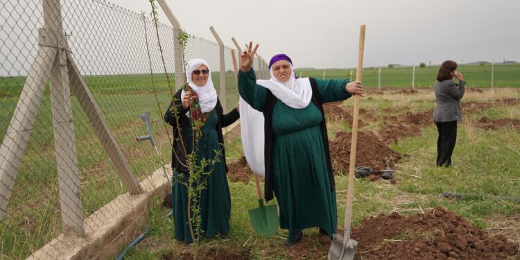 Mêrdîn’de Öcalan için fidan dikildi