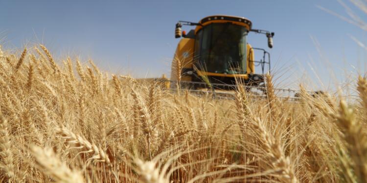 Çiftçi kaybediyor, fırsatçılar piyasayı hortumluyor: 9 gözaltı