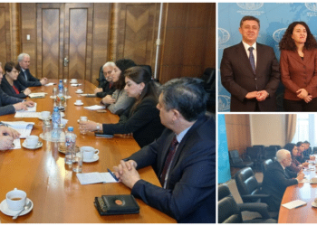 DEM Parti heyeti Rusya Dışişleri Bakan Yardımcıları ile görüştü