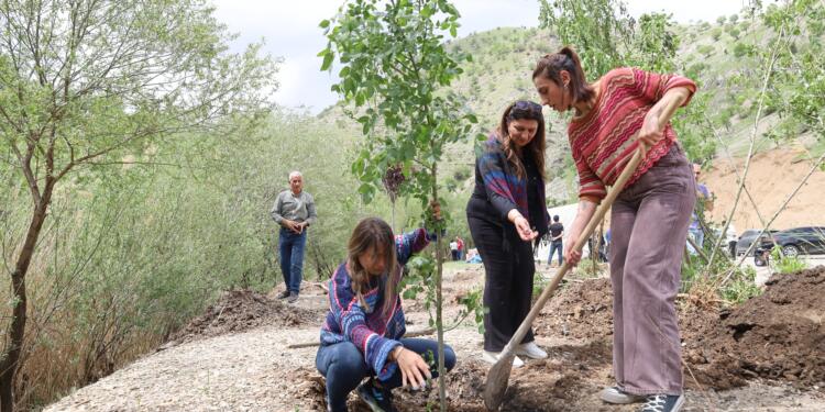 4 yıldır talan edilen Besta’da fidan dikildi: Sen de bir ağaç dik, yaşamı yeşert