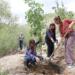 4 yıldır talan edilen Besta’da fidan dikildi: Sen de bir ağaç dik, yaşamı yeşert