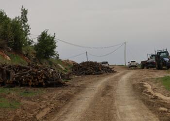 Besta’da asker gözetiyor korucular ağaç kesiyor