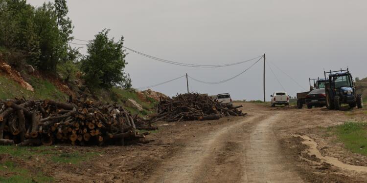 Besta’da asker gözetiyor korucular ağaç kesiyor