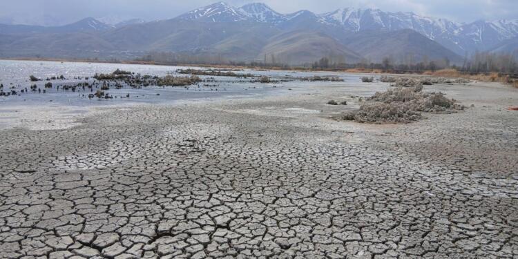 Wan Gölü’nde canlı popülasyonu yok oluyor