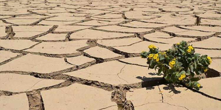 İklim krizi 10 milyon insanı etkiledi