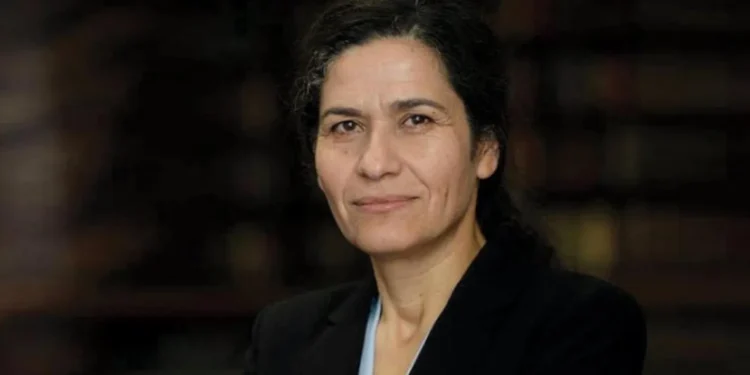 İlham Ahmed New York Times’a yazdı: Geçici anayasa etnik grupların haklarını korumuyor