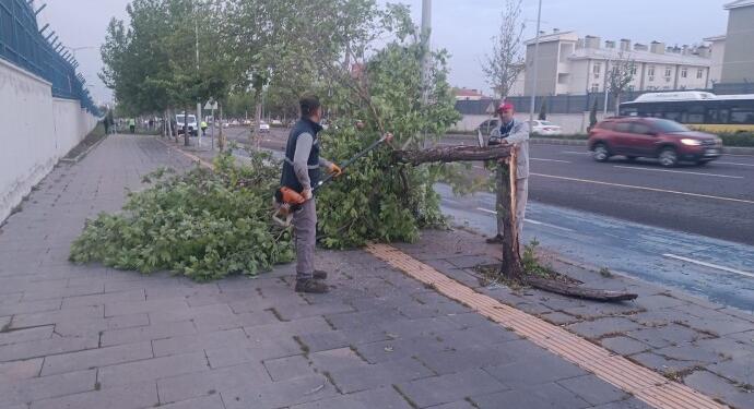 Amed’de yaşanan fırtınada pek çok ağaç zarar gördü