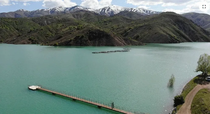 3 gündür haber alınamayan psikoloğun cansız bedenine ulaşıldı