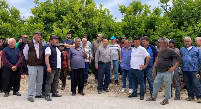 Mersinliler ağaç katliamına karşı nöbete başladı