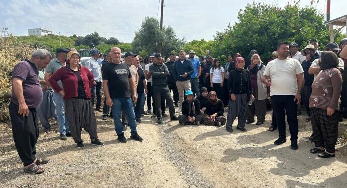 Halk direndi, ağaç kesimi durdu