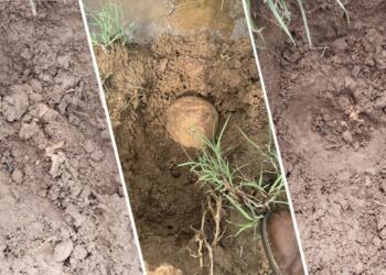 Licê’de bulunan kemikler için başvuru