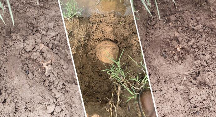 Licê’de bulunan kemikler için başvuru