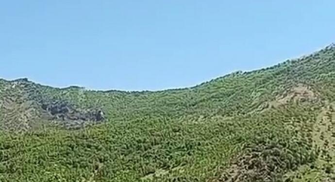 Korucular ağaç kesimi için zorla dilekçe imzalatıyor