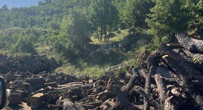 Korucular ağaç kesiyor; askerler eşlik ediyor