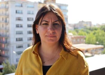 Eşbaşkan Alağaş: Kayyım işçilerin haklarını gasp ediyor