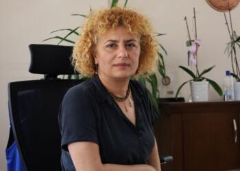 Ayfer Koçak: Emekçiler barış sürecini sahiplenmeli