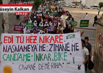 Sami Tan: Kürtçe için bir dil kongresi toplanmalı