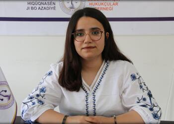 ÖHD Amed Eşbaşkanı: Öcalan’ın fiziki özgürlüğü sağlanmalı