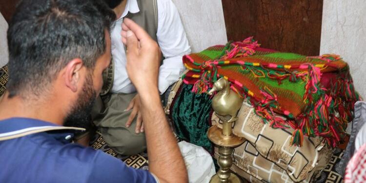 Tawusa Şêx Hadî, 11 yıl sonra yeniden Şengal’de