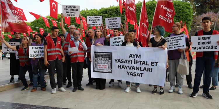 ‘Sokak hayvanlarının katledilmesini öngören yasa iptal edilsin’