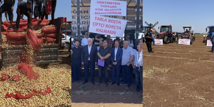 Çiftçiler isyan etti: Tarlada emeğimiz çürüyor