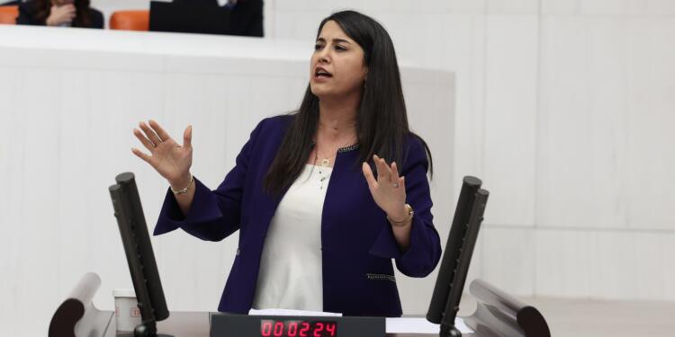 Dilan Kunt Ayan: Paketten yine bir inkar çıktı, derhal düzenleme yapın